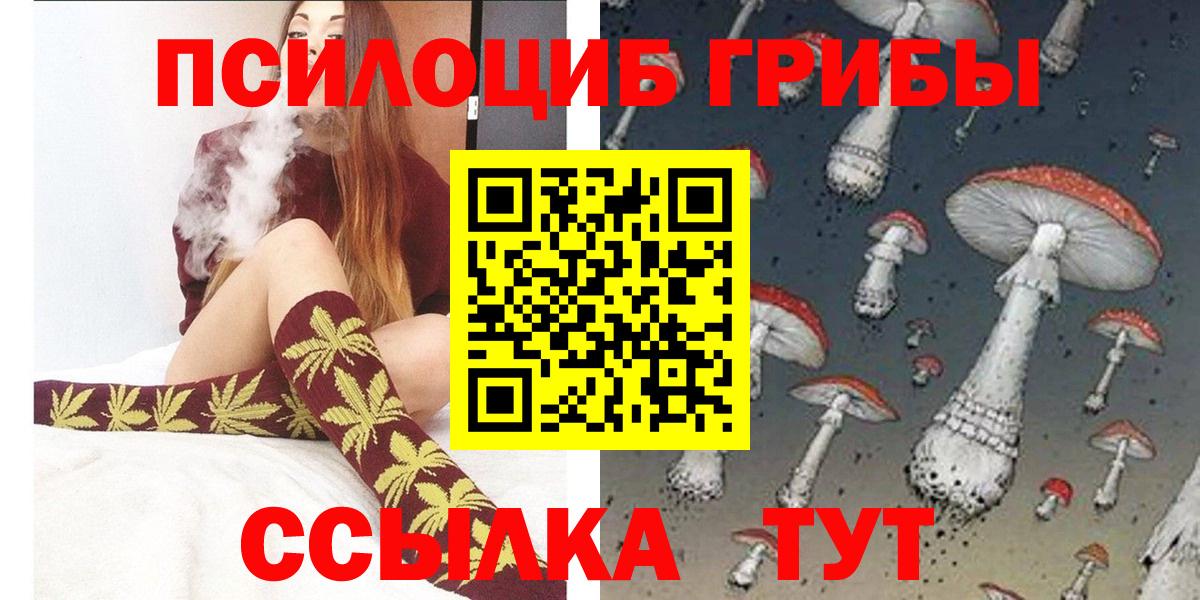 Новочебоксарск  Галлюциногенные грибы Cubensis  Вход с VPN 
